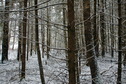#3: South-west view