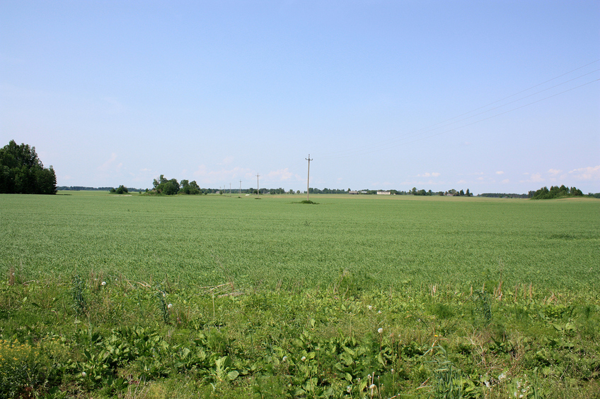 View to the north / Вид на север