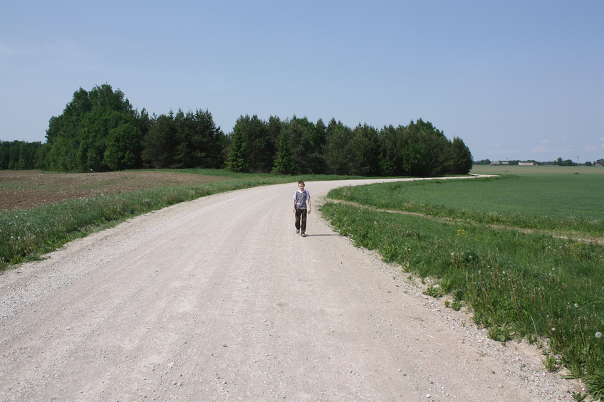 The road to the spot / Дорога к точке