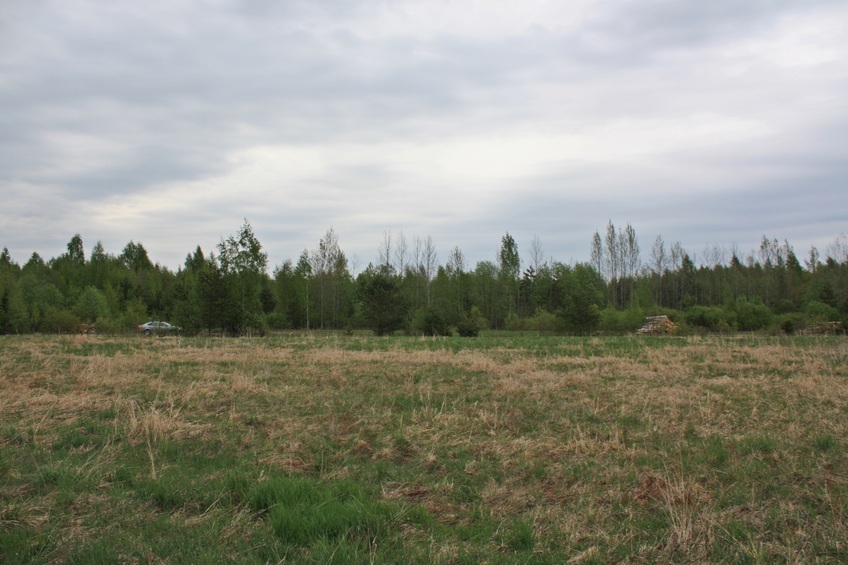 View to the north / Вид на север