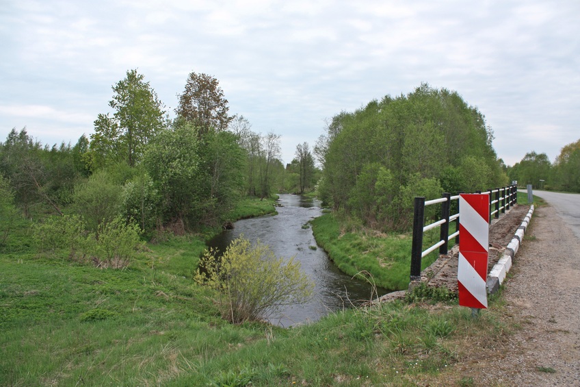 The river Avi in spring / Река Ави весной