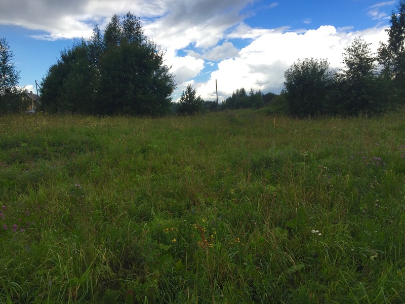 The confluence point lies 90 m away, near the house on the left side of this photo. (This is a view to the west.)