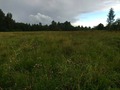 #4: A view to the south from 90 m north east of the point (which lies at the right side of this photo)