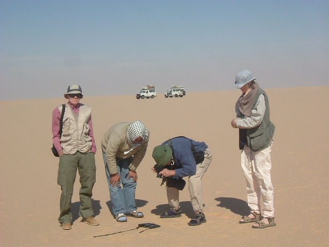 The support team on site