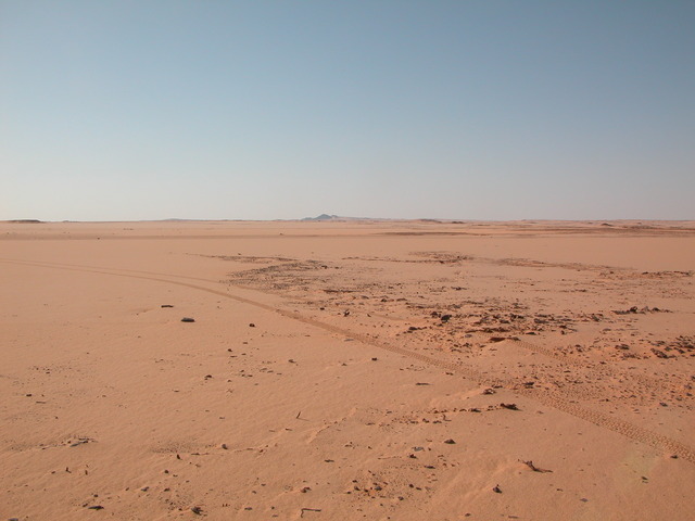 Looking West
