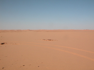 #1: Looking North