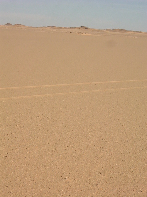View south from Confluence
