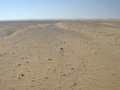 #8: Looking across the plain to the Confluence on top of the far ridge