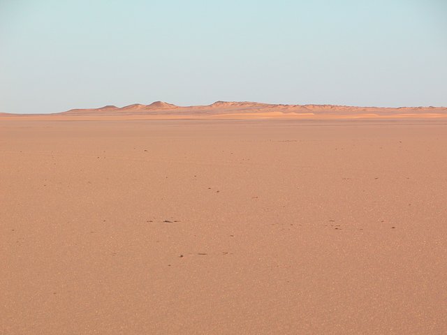 Looking East