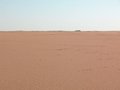 #3: Looking South