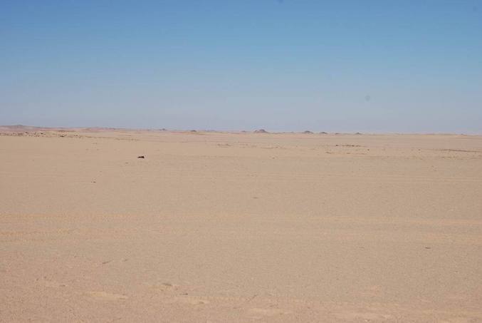 View north of the confluence point