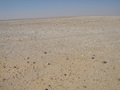 #4: View to the South