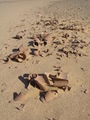 #8: Pottery remains on the old camel caravan trail to south of the confluence
