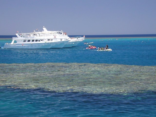 This special place is being overrun. From just 1.67 km to the south of the DC you can see five moored day boats. There are over 115 snorkelers in the water chasing the pod of 50 dolphins from one side of the ši`b (reef) to the other.