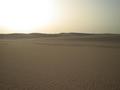 #4: West view