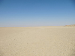 #1: View North from the Confluence