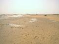 #4: South view