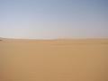 #3: Looking East