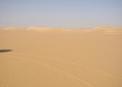 #4: Looking South