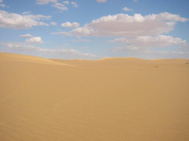 Looking East