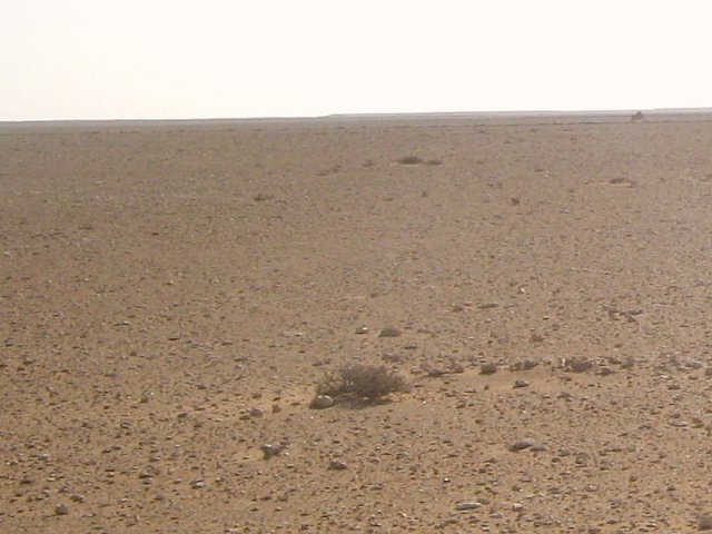 The Confluence in flat gravel desert