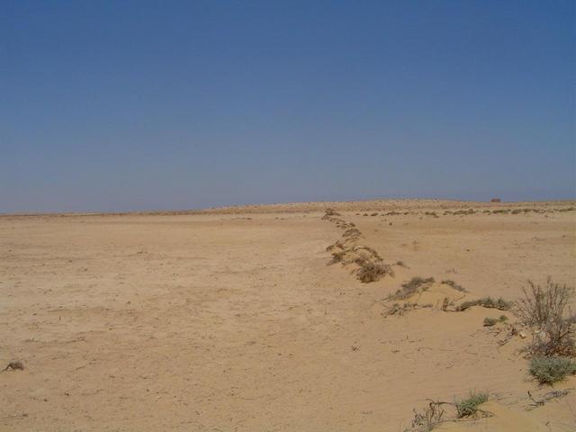 Looking North past the Confluence, farmhouse in the distance.