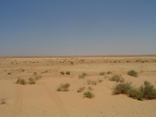 Looking east from the point.