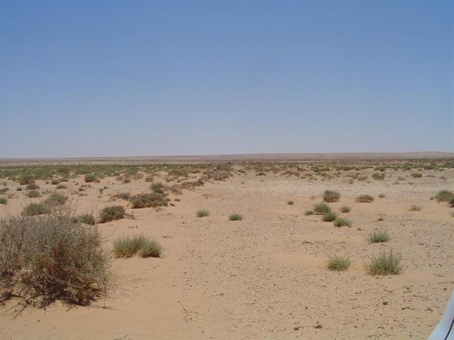 Looking south from the point