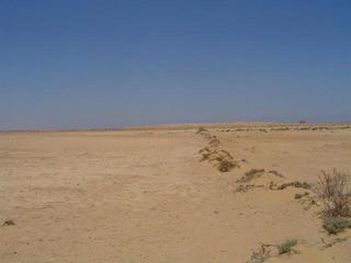 #1: Looking North past the Confluence, farmhouse in the distance.