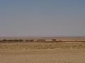 #6: Looking west from the road over a fig grove towards the point some 3.5 km away.