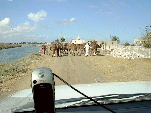 Close encounter with pregnant camellets