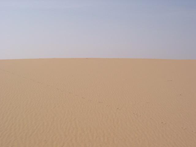 View to the West
