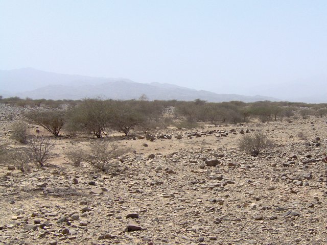 View looking northwest from the Confluence