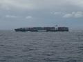#5: An "Evergreen" container liner from Taiwan