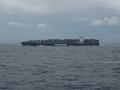 #5: An "Evergreen" container liner from Taiwan