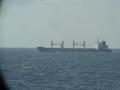 #5: "Handysize" bulk carrier