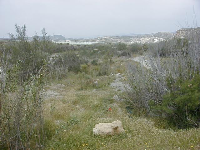 The points and view toward the north