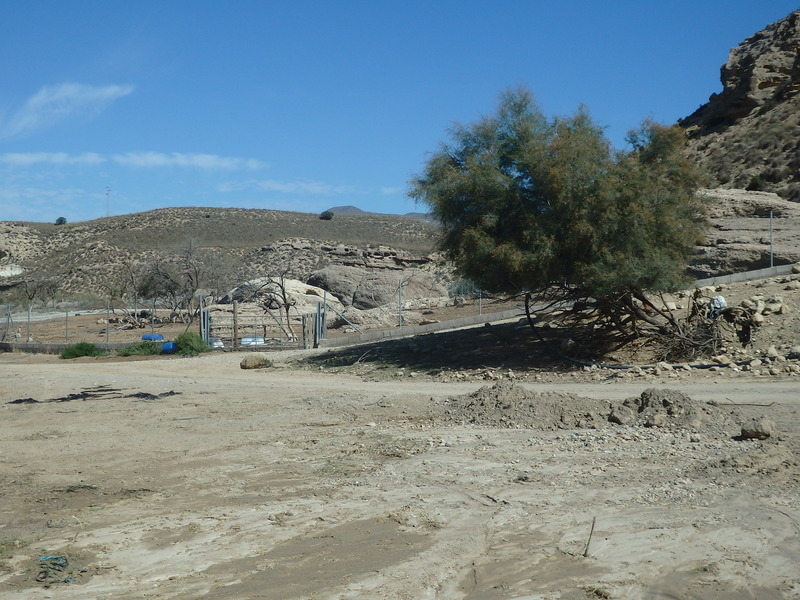 View to the North