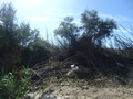 #2: View to the South
