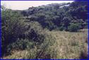 #4: West view