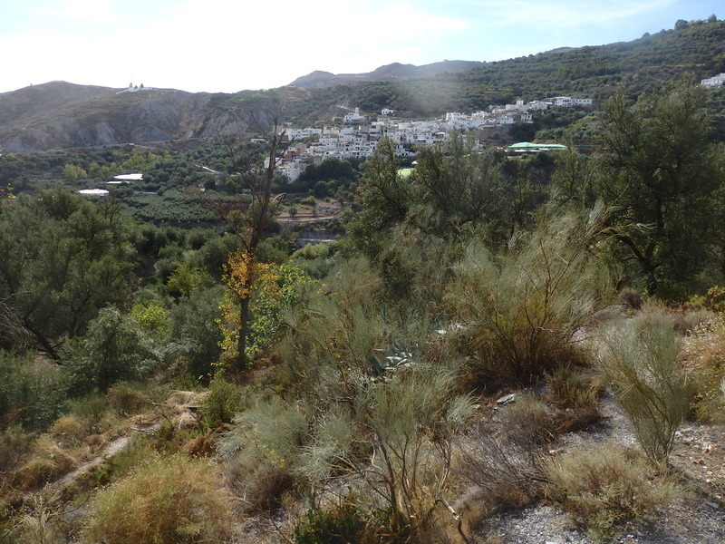 The Confluence from 10 m Distance