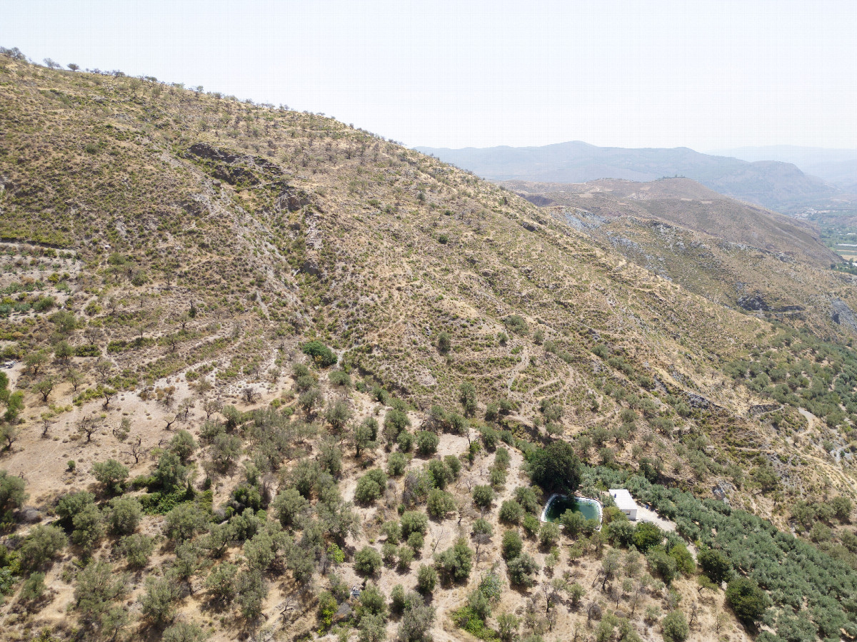 View South, from 120m above the point