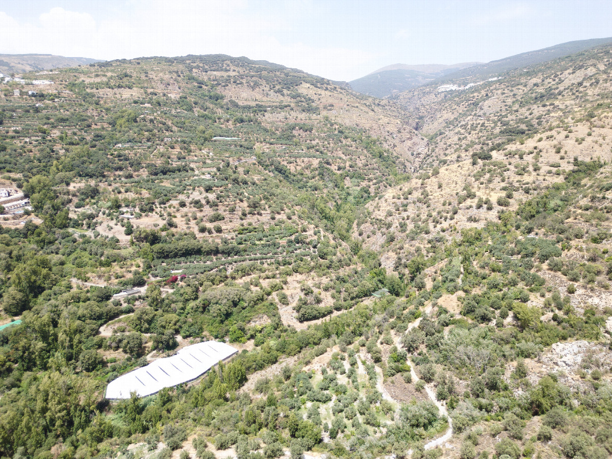 View North, from 120m above the point