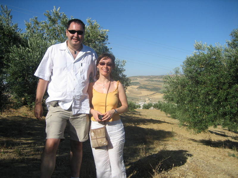 ENTRE OLIVOS / AMONG OLIVES