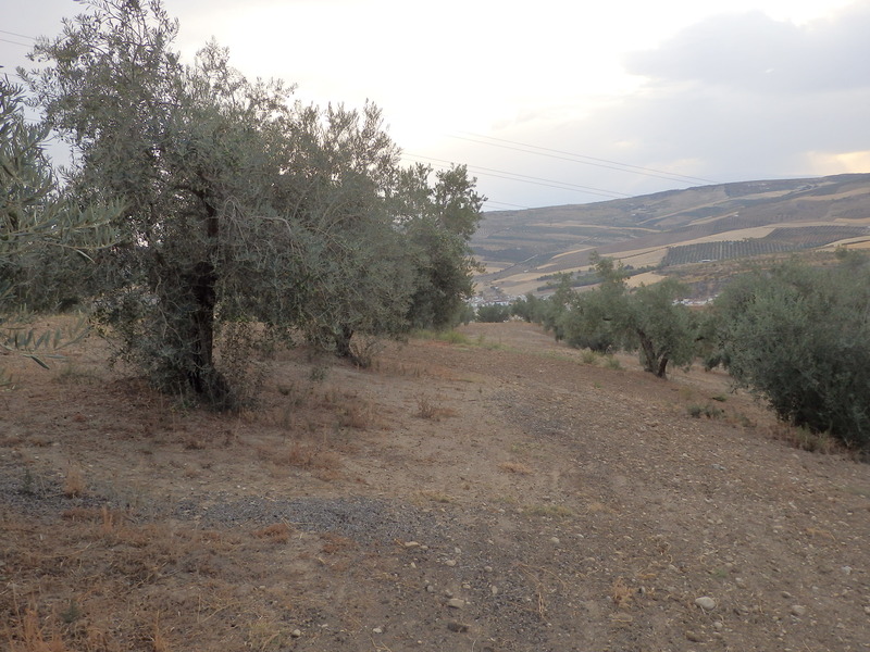 The Confluence from 15 m Distance