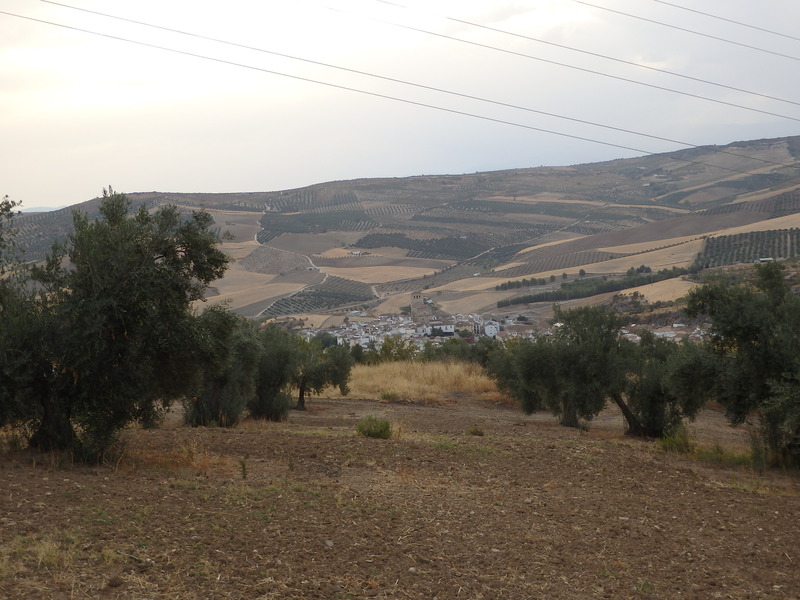 View to the East