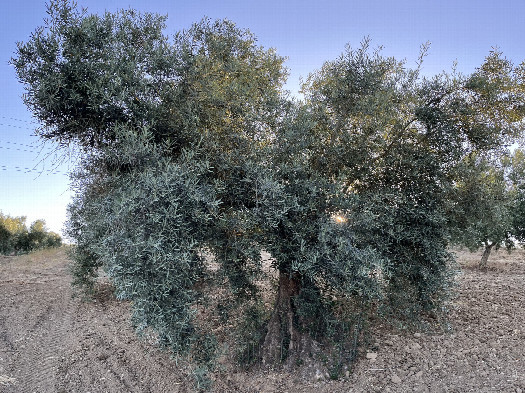 #1: General view of the CP