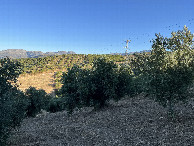 #3: View to the East