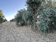 #4: View to the South