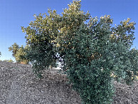 #5: View to the West